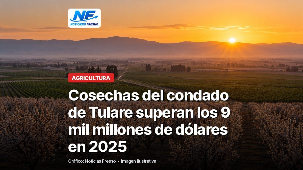 Imagen ilustrativa de campos agrícolas del Valle Central con el titular sobre el valor de las cosechas del condado de Tulare