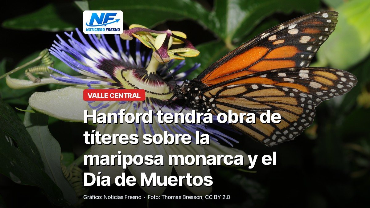 Mariposa monarca sobre una flor, con el titular de la nota sobre la obra de títeres en Hanford