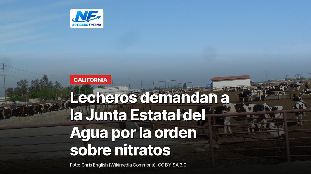 Vacas lecheras en los corrales de una lechería de Corcoran, en el condado de Kings, con el titular de la nota sobre la demanda de los lecheros contra la Junta Estatal del Agua