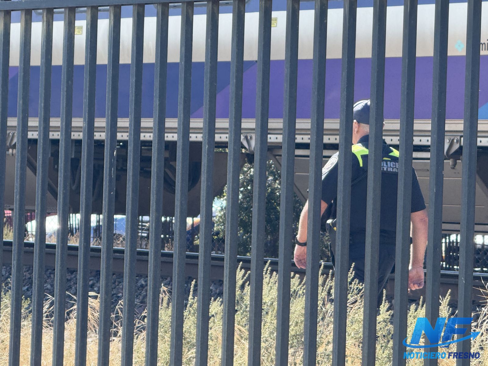 Autoridades trabajan en la zona del accidente. Foto: Noticias Fresno