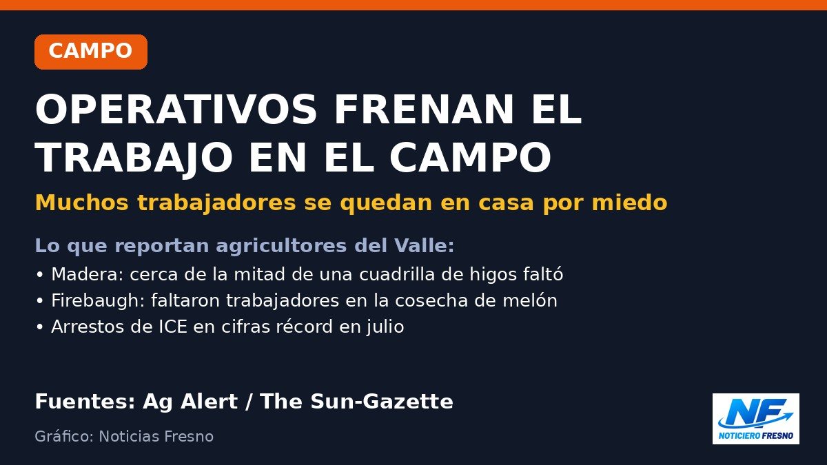 Gráfico: Operativos de inmigración frenan el trabajo en el campo del Valle Central