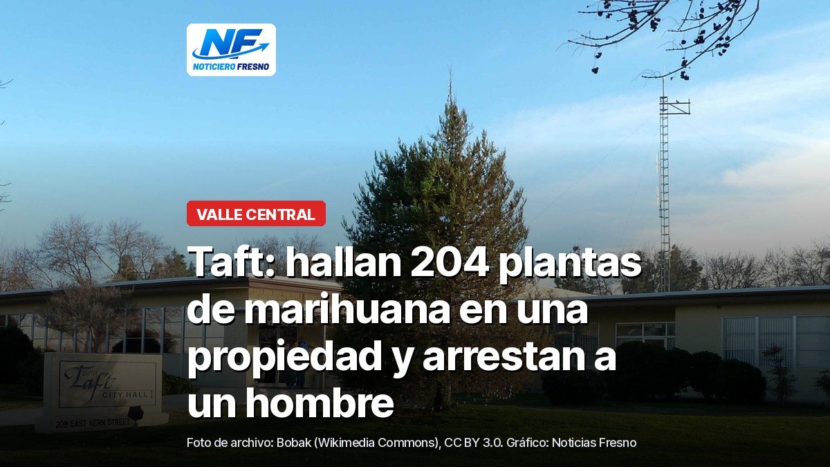 Foto de archivo del ayuntamiento de Taft con el titular de la nota sobre las 204 plantas de marihuana