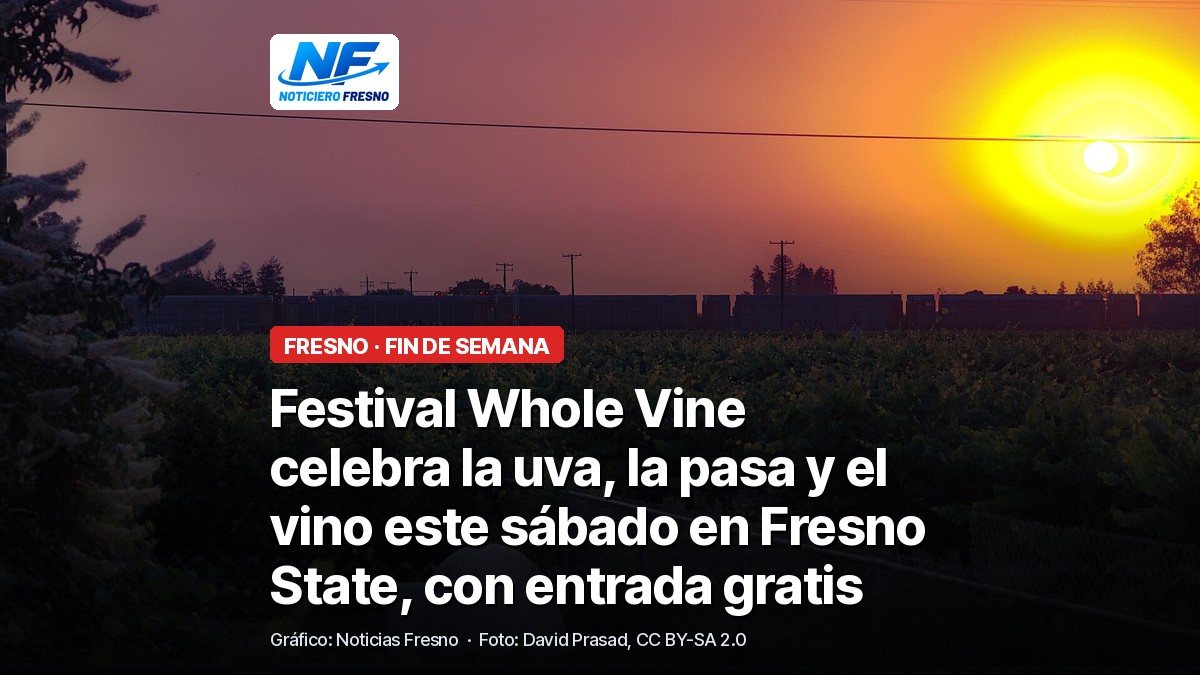 Viñedo de uva pasa al atardecer en Calwa, en el condado de Fresno, con el titular de la nota sobre el Festival Whole Vine